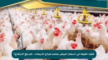 قفزة خفيفة في أسعار البيض بمصر صباح الأربعاء.. كم بلغ الارتفاع؟